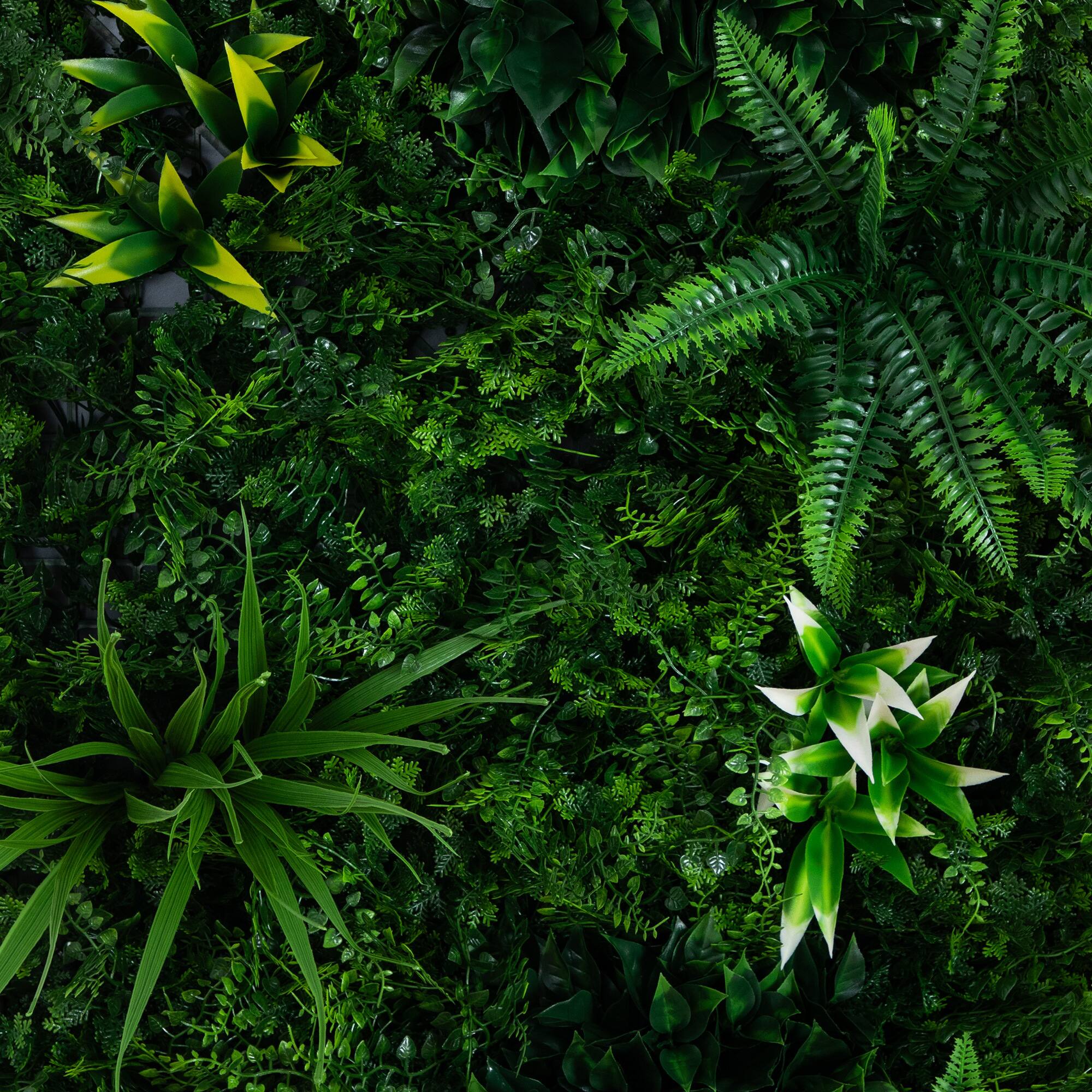 20" x 40" Framed Costa Rican Forest Artificial Living Wall Art Panel